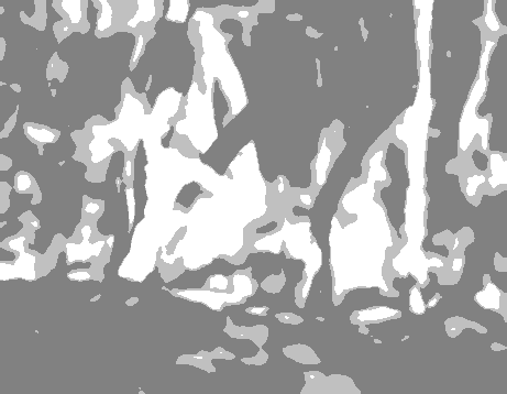 Value study steps