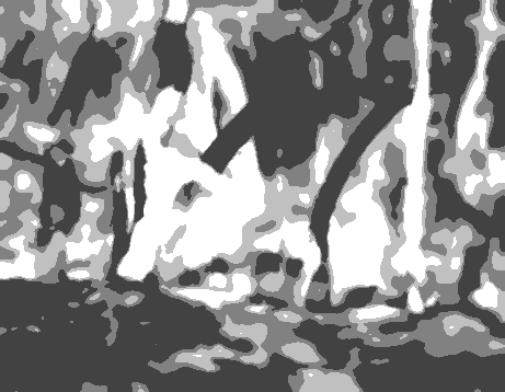 Value study steps
